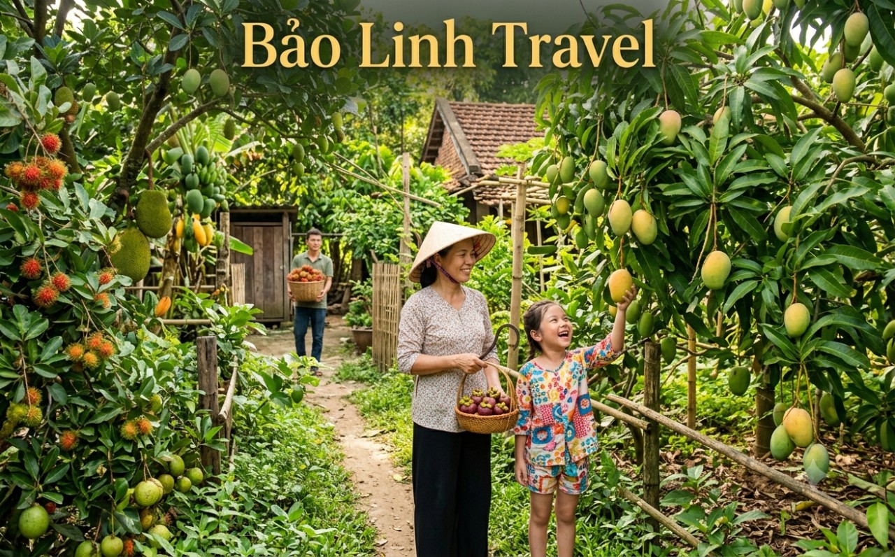 thuê xe đi cần thơ Bảo Linh