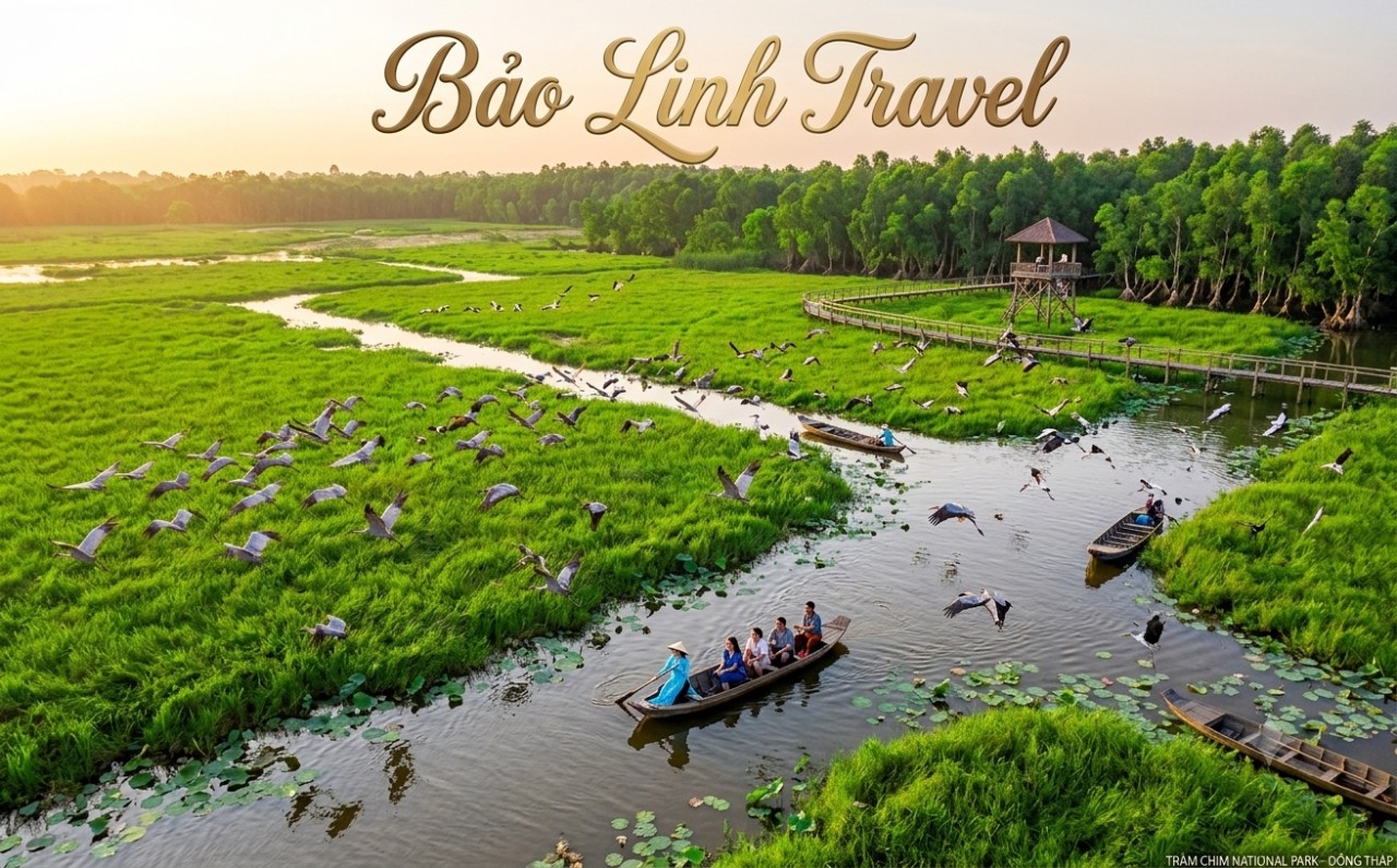thuê xe đi đồng tháp Bảo Linh